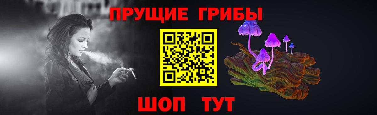 Псилоцибиновые грибы Psilocybine cubensis  купить закладку  Кызыл  Псилоцибиновые грибы прущие грибы  Вход с VPN 